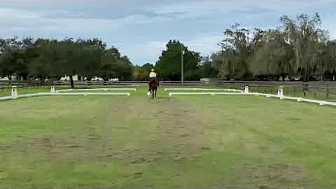 Western Dressage, Gaited.  Intro Level Test 4