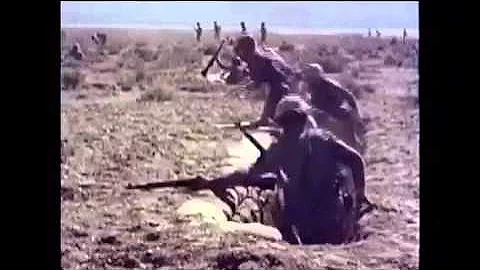 Rage Against the Machine - Calm Like a Bomb music video