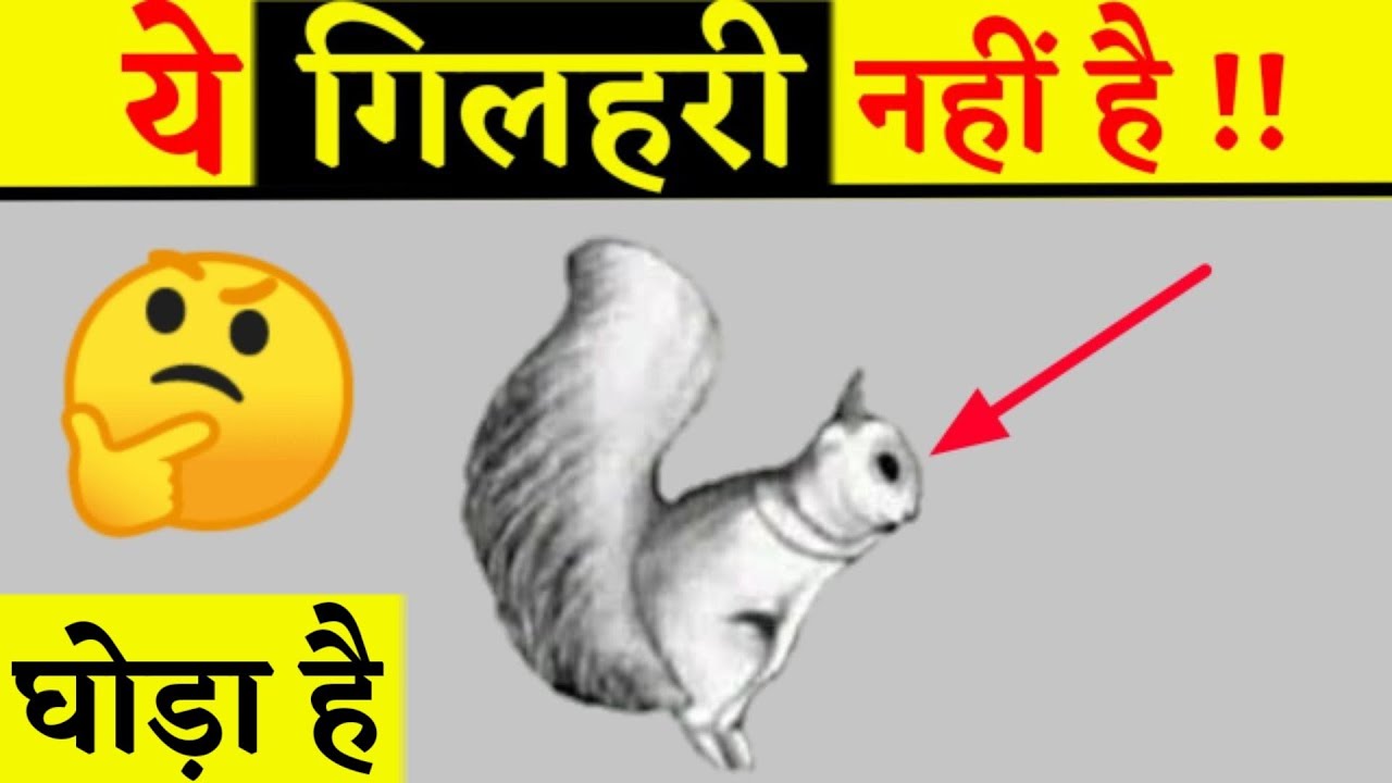इस फोटो में क्या है? | Optical Illusions In  Hindi | Enigmatic  Photo Illusions Explained