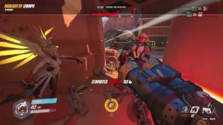 Pirate Bear Pillages Campsite