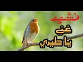 نشيد غني يا طيري احلى الالحان Ghani Ya Tiri Song To Learn Arabic 