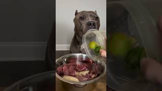 Raw Diet For My Dogs Featuring A New Food