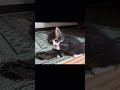 保護した子猫、できることが、またひとつ増えました。