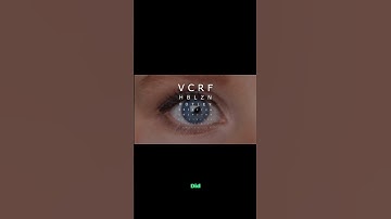 Did You Know Your Eyes Are Always Seeing the Past? (13ms Brain Delay Explained)