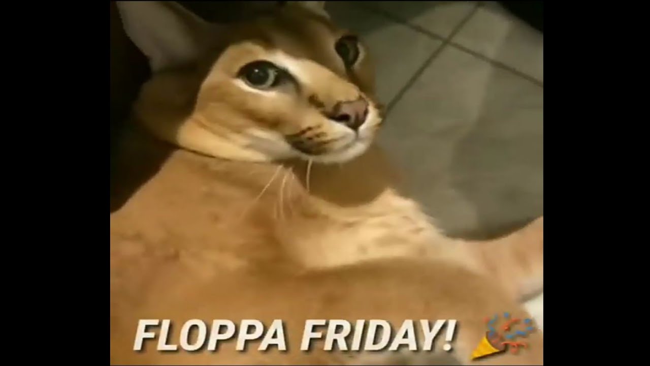 Floppa Friday! - song and lyrics by Soisuv