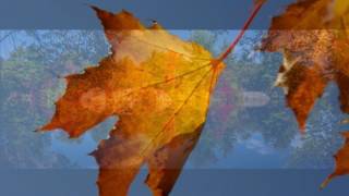 Indian Summer by Larry Gatlin and Roy Orbison with Barry Gibbs.