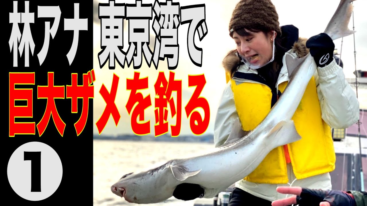 【釣り】巨大ザメvs林美沙希アナ🐟東京湾で大物ねらうぞ！前編