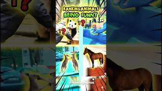 UFC Kangaroo vs. Horse Streamer! Who’s #1? 🏆 #funny #animals #fast