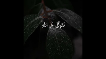 حالات واتس اب بصوت اسلام صبحي / تلاوة خاشعة / راحة نفسية / ارح قلبك ( فَتَوَكَّلْ عَلَى اللَّهِ ۖ )