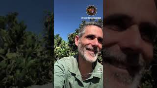 Compartiendo experiencias - Recordando la Verdad by Angelorapia y Recordando la Verdad 37 views 4 months ago 9 minutes, 56 seconds