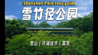 深圳公園推薦：小眾寶藏的雪竹徑公園，綠皮火車經過露營地！China Shenzhen XueZhuJing Park