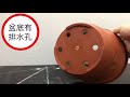 【綠藝家】法國盆6寸 product youtube thumbnail