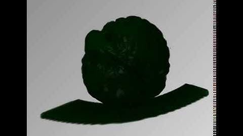 Ray-Casting Visualization of Walnut Volume Data