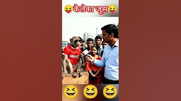 Ai Monkey Vlog #aivideo #aimonkeyvideo #Monkeyvlog #funny #shorts #youtube #ai #veo3 #vlog