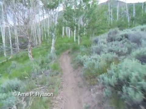 Hidden Valley Loop Trail, Idaho by Arne Ryason