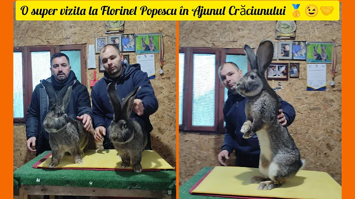 Super Vizita la Florinel Popescu,prezenta...  cuib...