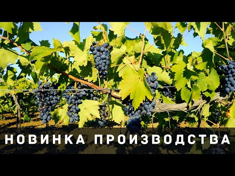 СКОБА ИНДИВИДУАЛЬНОЙ ОПОРЫ