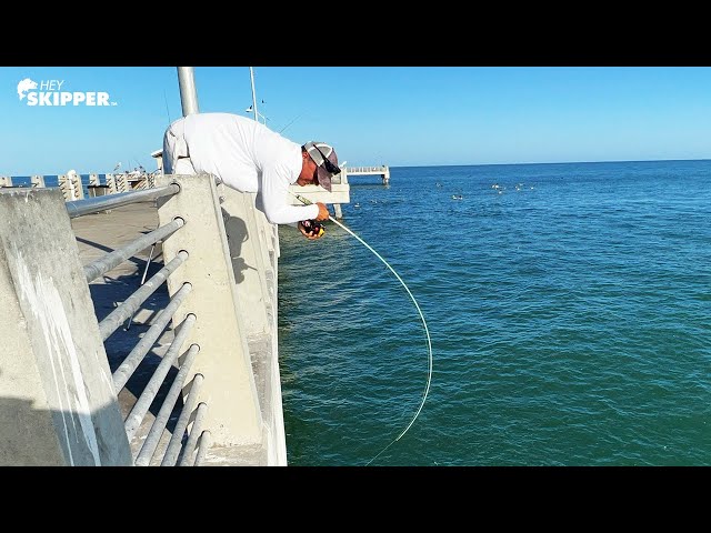 THIS ALMOST PULLED Him In The Water! Pier Fishing Methods That WORK! 