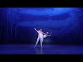 Swan lake by victorian state ballet  west gippsland arts centre