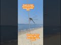 Rüzgârla Dans Eden Böcek: Yusufçuğun Sırrı Küçük Kanatlarla Büyük Dersler #helikopter #bocek #bug 🦟🪰