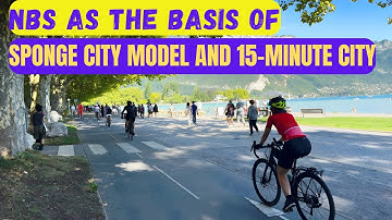 What are Nature-Based Solutions (NBS)? Cities, Climate, and the Future of Urban Planning