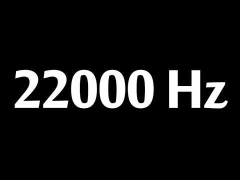 Was fordert die DIN ISO 22000 für die Lebensmittelsicherheit?