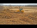 Clearing the Wild! Bulldozer Crushes Through Dense Brush and Dry Wood