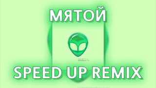 КОСМОНАВТОВ НЕТ - МЯТОЙ (speed up prohladny remix)