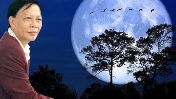 NGƯỜI ĐIÊN YÊU TRĂNG - MINH CẢNH ( TÂN CỔ GIAO DUYÊN PRE 1975 )