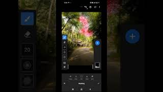 essay way to edit your pictures in lightroom#tutorial#lightroom #editing #edit #photography #dreamy