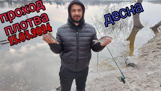 ⚠️ПРОХОД ПЛОТВЫ⚠️ Фидерная рыбалка. Десна🚫