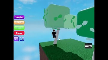 Roblox - Find the Marker Morphs - Hacker Marker