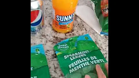 Dollarama review