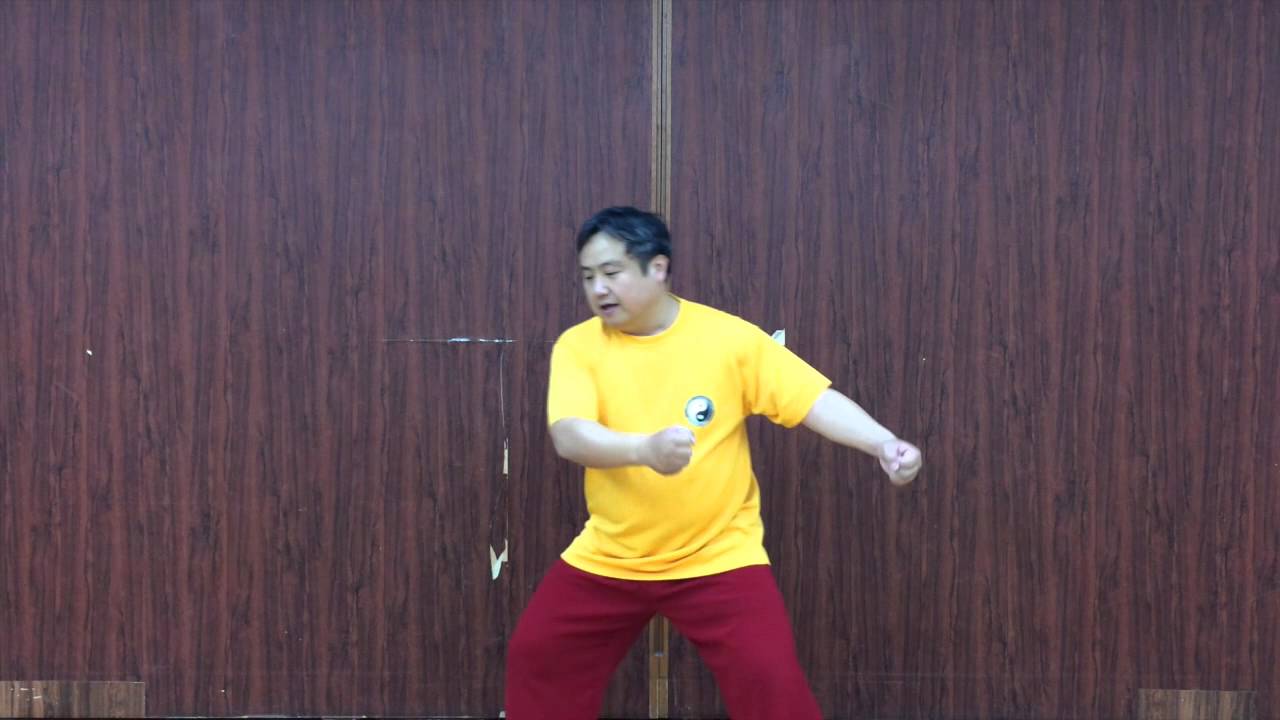 陳式太極拳肘法 : 肘の攻撃防守実戦用法 陳式太極拳 伝統推手の基本練習法〜採列肘靠 - YouTube