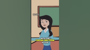 How to Create and Export Cross Sections in Strater for Voxler