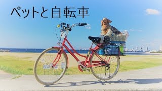 ブリヂストンTOTEBOX買ったよ～愛犬と自転車カスタムも楽しい！