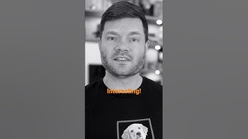 Meet Spot, the Adorable Talking Robot Dog Powered by AI