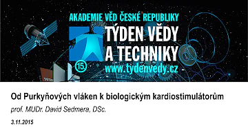 Proč je syntetické vlákno prodyšnější?