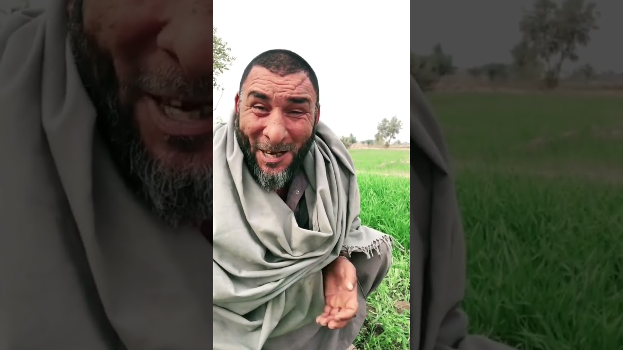 Da riaz Gull Funny pashto Gapshap