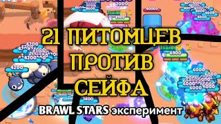 21 питомец против сейфа. BRAWL STARS эксперимент.