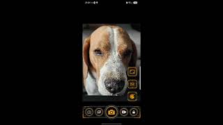 Pixel Art Camera screenshot 1