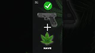 Can Marijuana Users Purchase Guns Now?