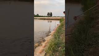 ❤️‍🔥LIVE STREAMING❤️‍🔥 2026/08/17 19:04:50.