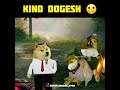 kitna diyalu hai apna dogesh funny meme status