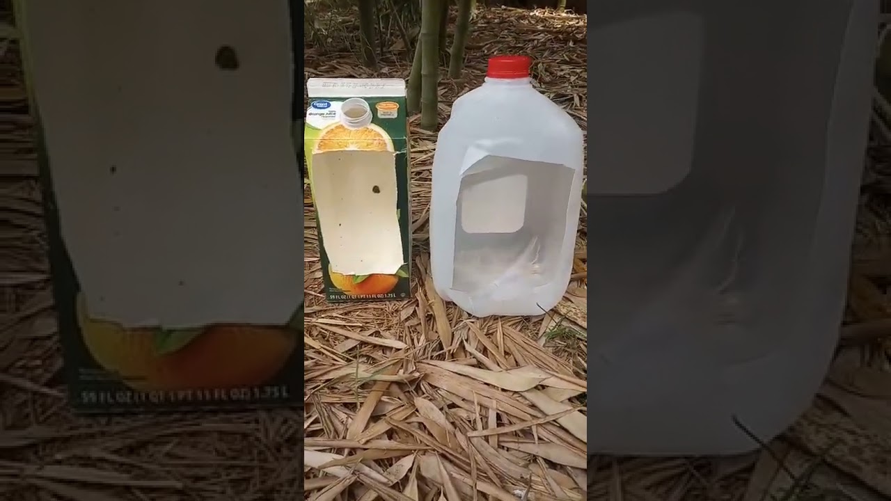 DIY Bird Feeder easy Milk Jug shorts milk birds birdfeeder seed