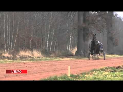 Yarrah Boko vers le prix d'Amérique