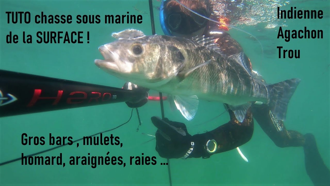 TUTO technique chasse sous marine de la SURFACE, gros bars à l'indienne, agachons, à trou ...