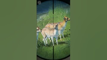 Do THIS if You Wanna RUIN Your Grind❗😱😱 Big Mistakes Te Awaroa the Hunter Call of the Wild #shorts