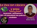 UVA: Propiedades y Beneficios - RESVERATROL - ANTOCIANINAS - Luis Antonio Melón