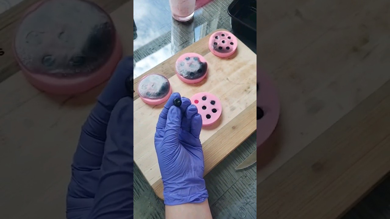 Soap embeds for a Boba soap. 